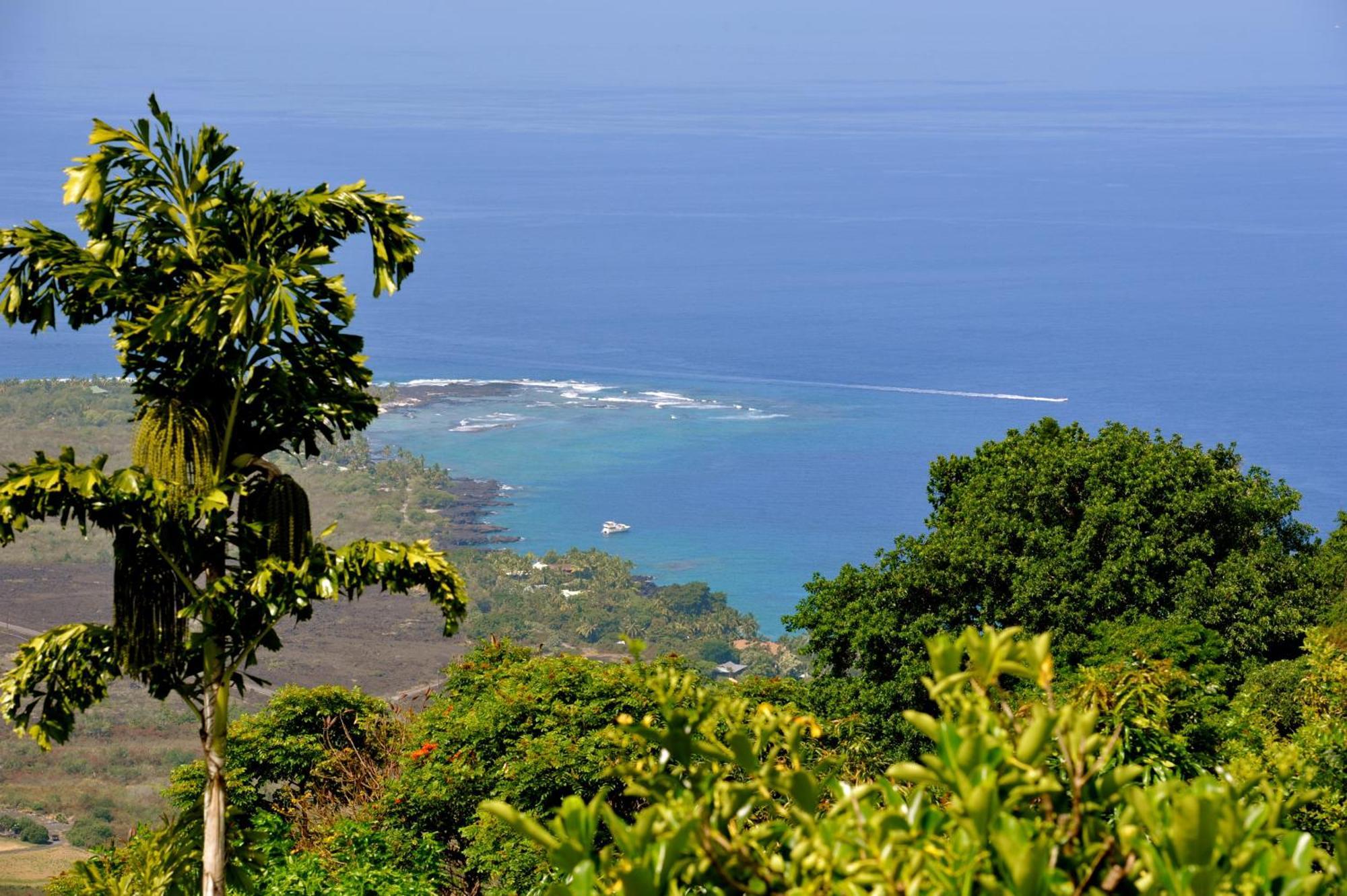 Ka'Awa Loa Plantation Bed & Breakfast Captain Cook Exterior photo